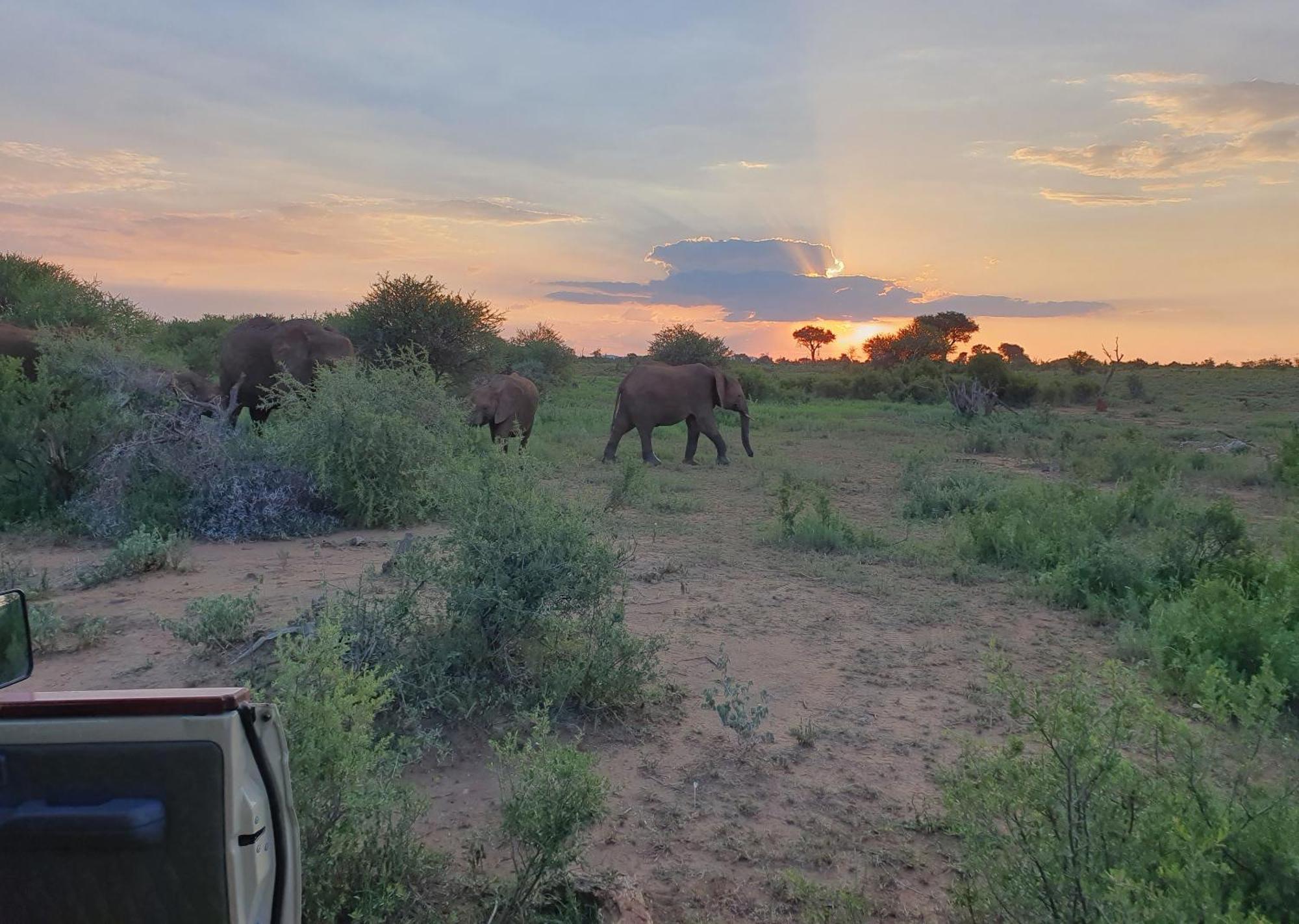 Madikwe River Lodge By Dream Resorts Заповедник Мадикве Экстерьер фото