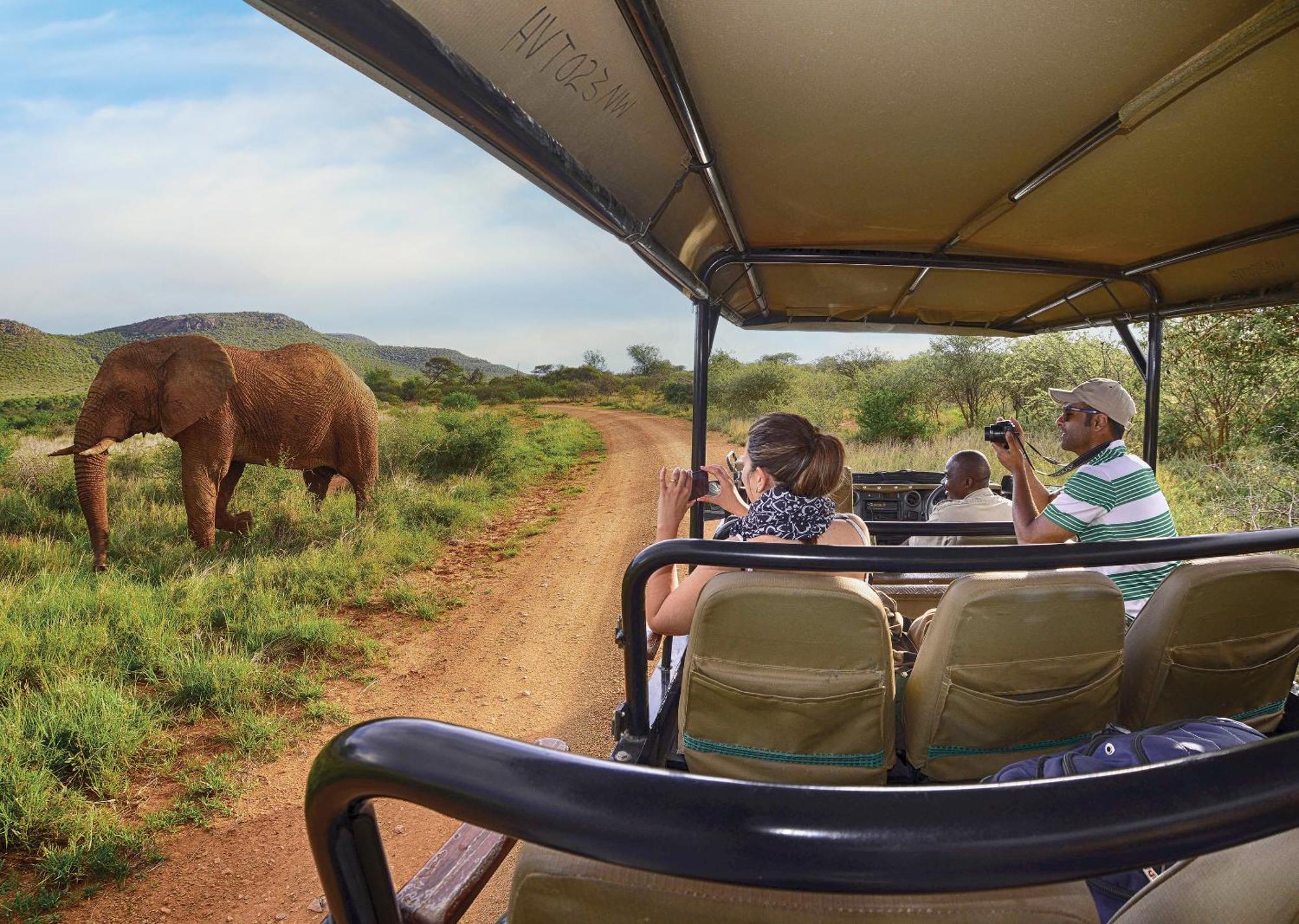 Madikwe River Lodge By Dream Resorts Заповедник Мадикве Экстерьер фото