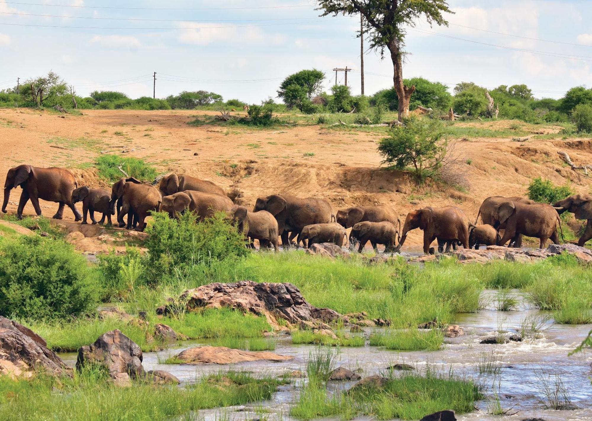 Madikwe River Lodge By Dream Resorts Заповедник Мадикве Экстерьер фото