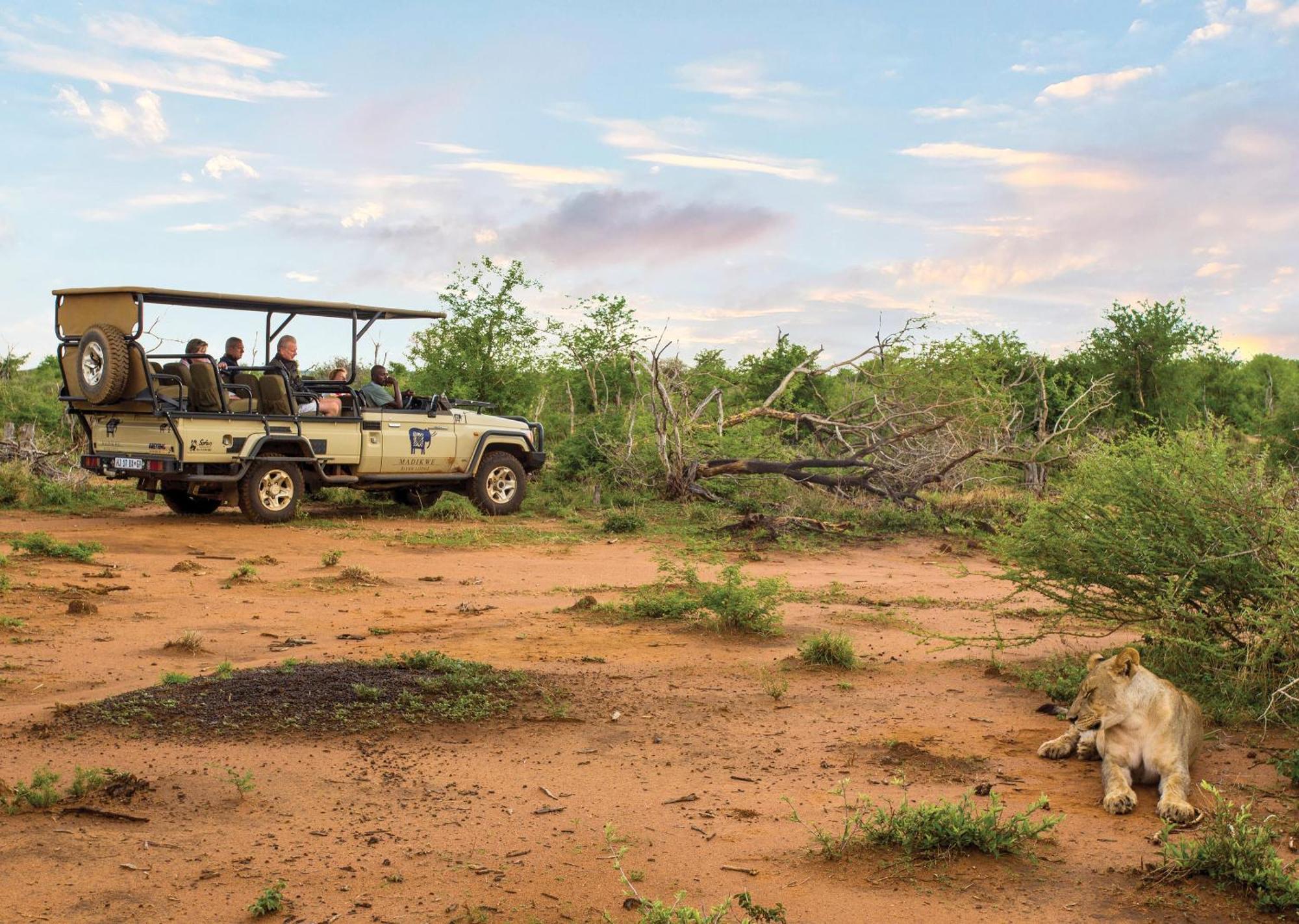 Madikwe River Lodge By Dream Resorts Заповедник Мадикве Экстерьер фото